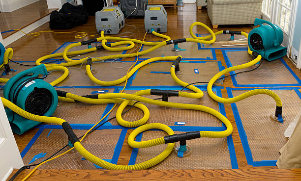 Professional Sewage Cleanup technician working in Bellaire, TX